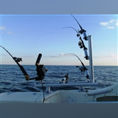 VBT-3 / Vertical Tree with 3 rod holders